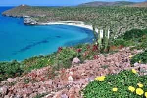 Baja California, Mexico Mexican Car Insurance from MexicanInsuranceStore.com