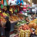 Mexico insurance online
