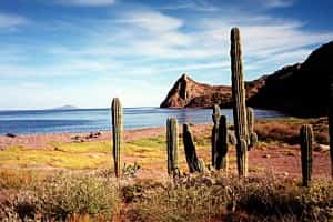 A Kayaking Trip to Baja, Mexico Mexican auto insurance from MexicanInsuranceStore.com