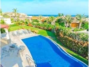 Traveling with Pets to Mexico Mexican insurance