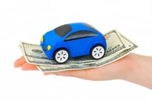 Mexican Insurance Store Long Term Annual and Semiannual Discount Mexican Insurance Store Long Term Annual and Semiannual Discount