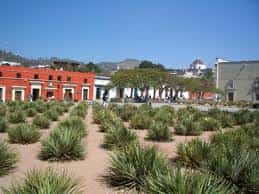 Travel In Mexico Mexican insurance from Mexican Insurance Store