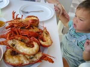 San Diego Mexico travel - Lobsta Village Ohh Ya! Mexican auto insurance from Mexican Insurance Store