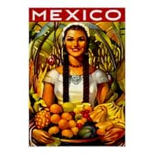 Mexico Vacation Motor Vehicle assurance indemnity policy