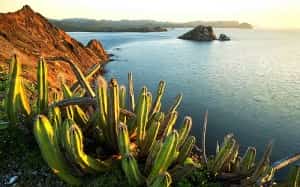 Mexico road trip scenery Mexican insurance