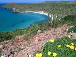 Driving on Vacation to Mexico Mexican auto insurance online policy