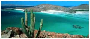 Road Trip Ideas for Canadians Mexican auto insurance for Canadian drivers