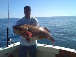 Rocky Point Fishing Charters Mexican auto insurance for Tucson drivers