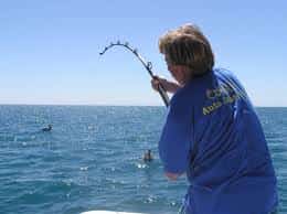 Fishing Off the Rocky Point Shoreline Mexican auto insurance for Rocky Point drivers