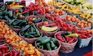 Food Vendors in Mexico Mexican insurance online from Mexican Insurance Store.com