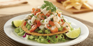Ceviche tostada Mexican insurance from Mexican Insurance Store