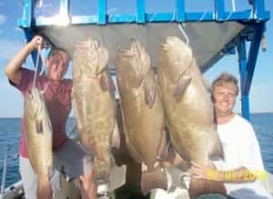 Rocky Point Fishing Mexican auto insurance for Rocky Point