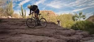 One of the benefits of ecotourism in Mexico Mexican auto insurance at Mexican Insurance Store