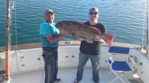 Catch a fish in Rocky Point Mexico insurance from Mexican insurance Store
