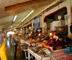 Ensenada fish market Mexican insurance at Mexican Insurance Store