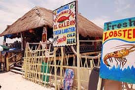 Practice Spanish anywhere! Mexican insurance at Mexican Insurance Store