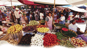 Mexico Markets Mexican car insurance with Mexican Insurance Store.com
