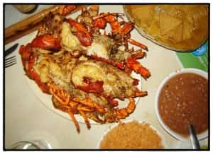 Lobsta Puerto Nuevo Style Mexico Auto Insurance from MexicanInsuranceStore.com