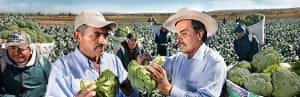 Mexico Nutritional Products Mexico insurance from MexicanInsuranceStore.com