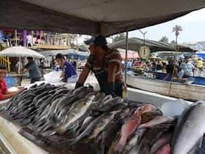 Baja fish stand Mexican insurance at MexicanInsuranceStore.com