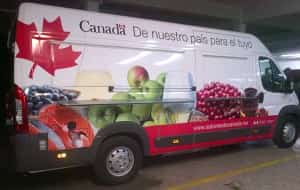 Canadians in Mexico Mexican insurance for Canadians