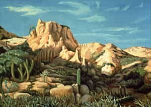 Mexican Desert Landscapes - Tova Snyder Mexican Insurance for Canadians