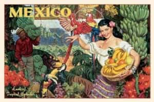 Vintage Mexico Mexican auto insurance for Scottsdale Vehicles