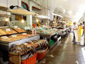 Ensenada fish market Mexico car insurance at Mexican Insurance Store.com