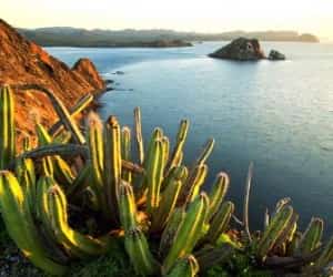 Baja Mexico Coastal Scenery Mexican auto insurance with MexicanInsuranceStore.com