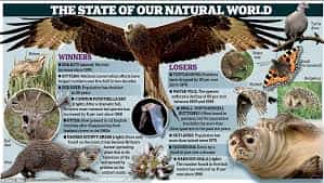 Animal Life Exploration Mexican Insurance from MexicanInsuranceStore.com