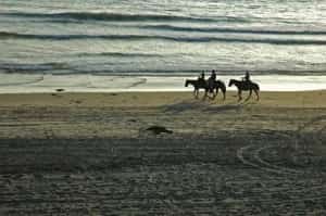 Horseback riding, Rosarito Beach Mexico insurance from MexicanInsuranceStore.com