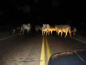 Night Driving Hazards in Mexico Mexican Auto insurance with Mexican Insurance Store.com