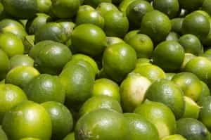 Plenty of Limes in Mexico Mexican auto insurance by MexicanInsuranceStore.com