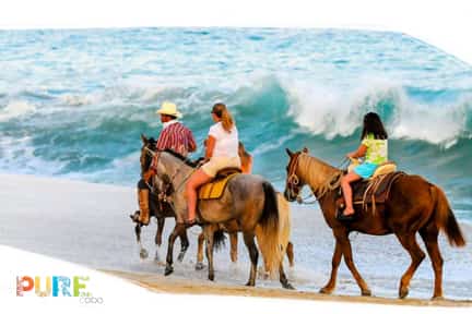 Horseback riding, Cabo San Lucas Mexican insurance coverage at MexicanInsuranceStore.com