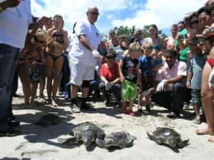 Turtle release, Mayan Riviera Mexican auto insurance policy from MexicanInsuranceStore.com