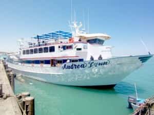 Week Long Fishing Charters in San Felipe, Mexico Mexico insurance from MexicanInsuranceStore.com