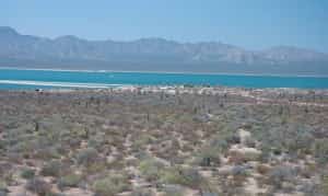 Punta Chueca and El Desemboque, Tiburon Island, Mexico Mexican insurance for Nogales