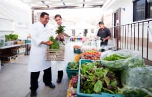 Cabo Organic Farmer's Market Mexican Auto insurance for Visitors