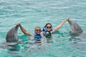 Dolphin Attractions in Mexico Mexico insurance from MexicanInsuranceStore.com
