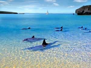 Playa Balandra - Mexico Mexico Insurance for cars From MexicanInsuranceStore.com