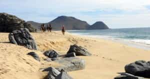 Horseback riding on a secluded beach, Todos Santos Mexico insurance by MexicanInsuranceStore.com
