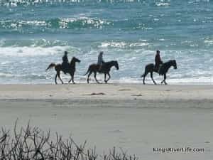 Horseback riding on Rosarito Beach Mexican insurance services at MexicanInsuranceStore.com,Mexico auto insurance from MexicanInsuranceStore.com