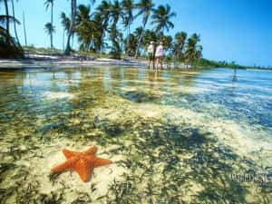 Yucatan - Top Family Holiday Destinations Mexican insurance for Canadians