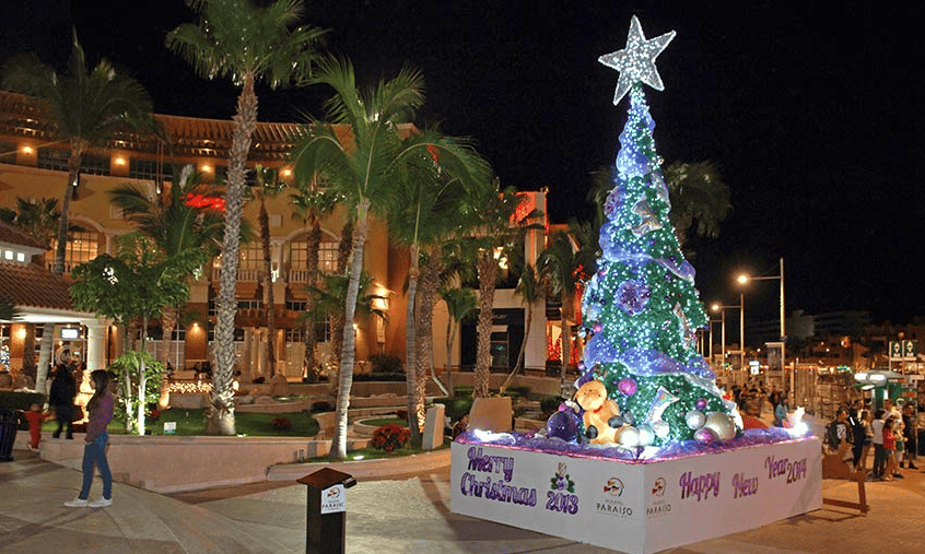Christmas Scenes, Los Cabos Mexican insurance
