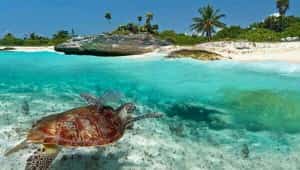 The Yucatan Peninsula - Mexico Mexican Car Insurance with Mexican Insurance Store