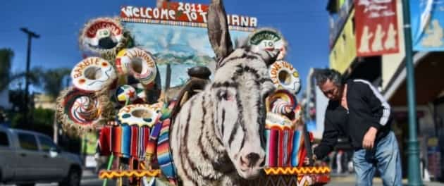 Tijuana Zonkey Mexican Auto Insurance for Tourists