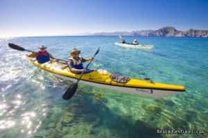 Sea Kayak Vacations & Whale Adventures in Baja Mexican Insurance for Baja