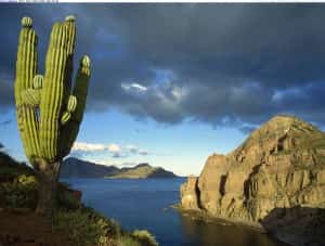 Danzante Island, Sea of Cortez, Baja California, Mexico Mexico Auto Insurance Quotes