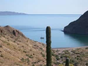 Sea of Cortez, Mexico Mexican Insurance Coverage