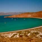The Sea of Cortez is the worlds aquarium; Jacques Cousteau Mexico insurance coverage